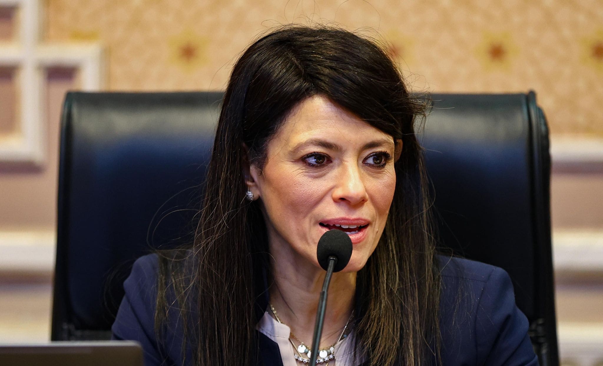 Egypt sets public investment ceiling for FY2025/26 at EGP 1.15T: Al-Mashat

